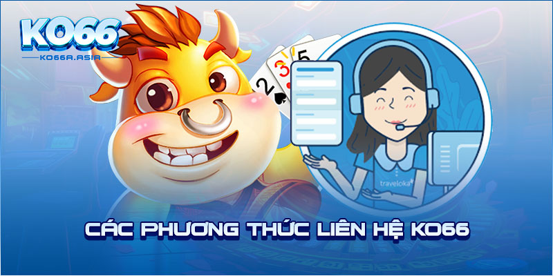 Các phương thức liên hệ KO66