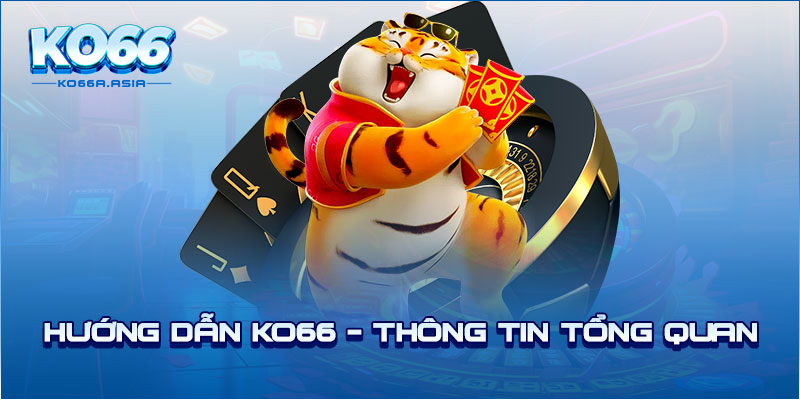 Hướng dẫn KO66 - Thông tin tổng quan